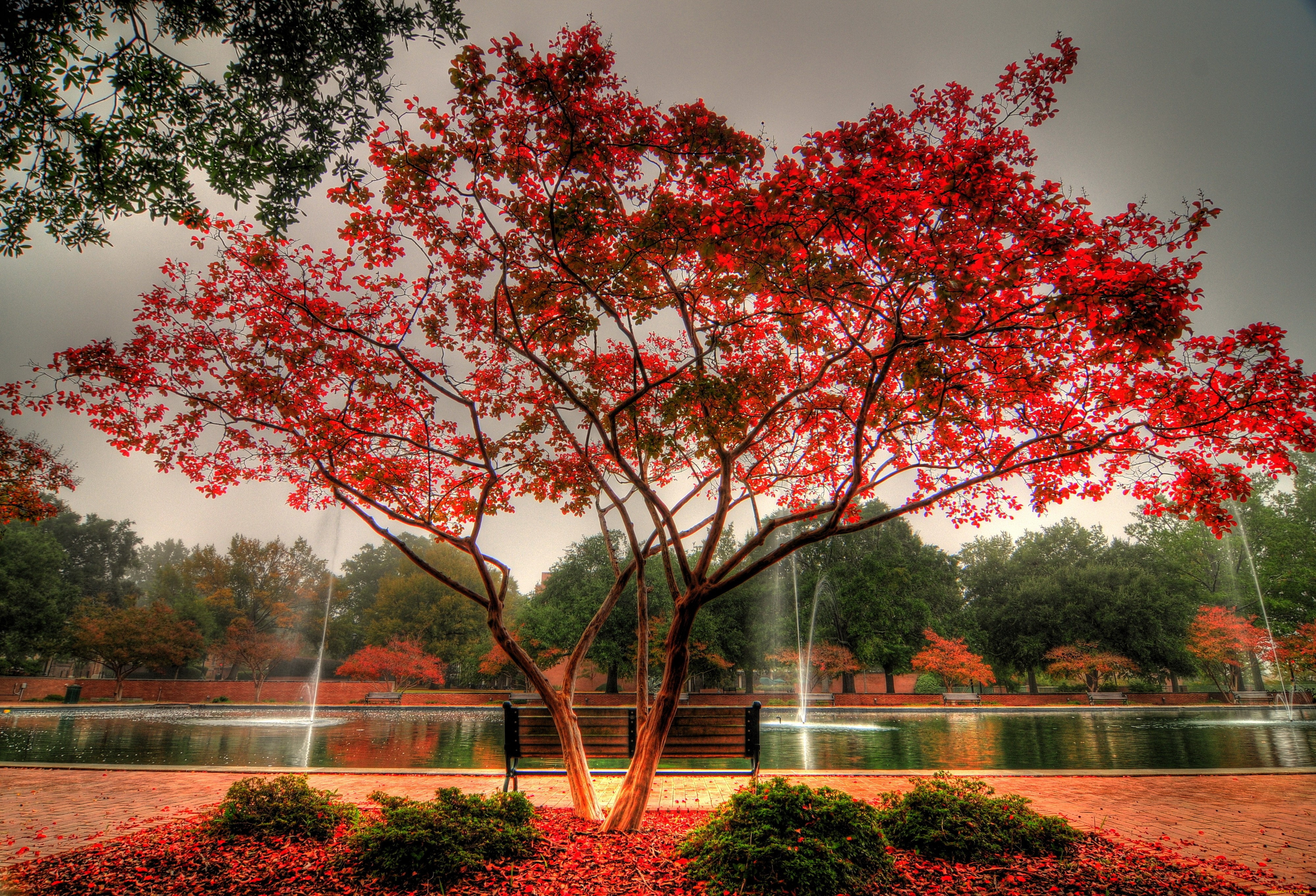 beautyful, autumn, , , , , , 